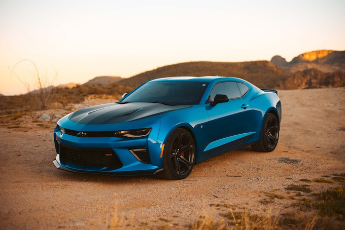 Payless Auto Shipping