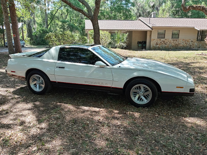 RoadRunner Auto Transport