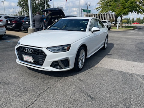 Payless Auto Shipping