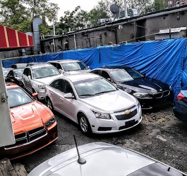 Mundo Auto Shipping