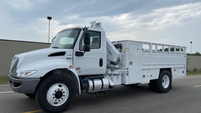 Payless Auto Shipping
