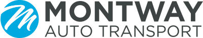 Best Auto Transporter in Lakes Charles, Louisiana.
